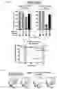Fig. 06 - MODULATING SURVIVAL OF THERAPEUTIC CELLS AND METHODS, CELLS AND NUCLEIC ACIDS RELATED THERETO