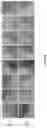 Fig. 28 - Antibody molecules and uses thereof