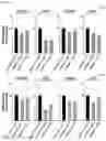 Fig. 06 - NOVEL CTHRC1-SPECIFIC ANTIBODY AND USE THEREOF