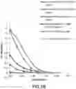 Fig. 07 - Caninized antibodies