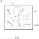 Fig. 02 - Bioprintable material and method for fabricating the same