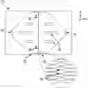 Fig. 01 - High-throughput microfluidic chip having parallelized constrictions for perturbing cell membranes