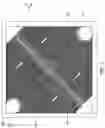 Fig. 09 - High-throughput microfluidic chip having parallelized constrictions for perturbing cell membranes
