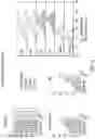 Fig. 22 - High-throughput microfluidic chip having parallelized constrictions for perturbing cell membranes