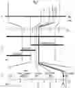 Fig. 02 - Restorer plants