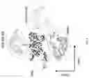 Fig. 10 - METHODS AND APPLICATIONS FOR CELL BARCODING