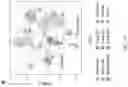 Fig. 22 - METHODS AND APPLICATIONS FOR CELL BARCODING