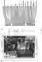 Fig. 25 - METHODS AND APPLICATIONS FOR CELL BARCODING