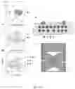 Fig. 28 - METHODS AND APPLICATIONS FOR CELL BARCODING