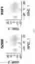 Fig. 48 - METHODS AND APPLICATIONS FOR CELL BARCODING