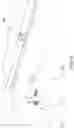 Fig. 11 - LONG SPAN POST TENSIONED BRIDGE DESIGNS