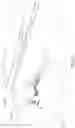 Fig. 12 - LONG SPAN POST TENSIONED BRIDGE DESIGNS