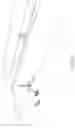 Fig. 13 - LONG SPAN POST TENSIONED BRIDGE DESIGNS