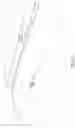 Fig. 15 - LONG SPAN POST TENSIONED BRIDGE DESIGNS