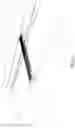 Fig. 21 - LONG SPAN POST TENSIONED BRIDGE DESIGNS