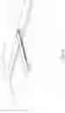 Fig. 24 - LONG SPAN POST TENSIONED BRIDGE DESIGNS