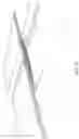 Fig. 25 - LONG SPAN POST TENSIONED BRIDGE DESIGNS