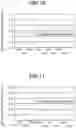 Fig. 09 - Metal structure evaluator for rolled steel sheets, method for evaluating metal structure of rolled steel sheet, production facility of steel product, method for manufacturing steel product, and method of quality management of steel product