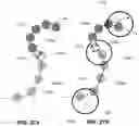 Fig. 28 - Path following in vehicle formations