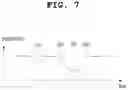 Fig. 08 - Hybrid sensor for detecting touch and touch force and method of operating same