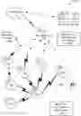 Fig. 01 - Meter text detection and recognition
