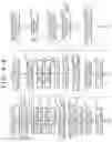 Fig. 49 - PROGRAM, INFORMATION PROCESSING METHOD, AND TERMINAL