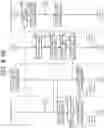 Fig. 65 - PROGRAM, INFORMATION PROCESSING METHOD, AND TERMINAL