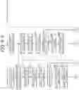 Fig. 72 - PROGRAM, INFORMATION PROCESSING METHOD, AND TERMINAL