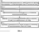 Fig. 10 - SYSTEMS AND METHODS OF THREE-DIMENSIONAL MODELING FOR USE IN GENERATING A REALISTIC COMPUTER AVATAR AND GARMENTS