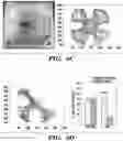 Fig. 06 - SYSTEM AND METHOD FOR AUTOMATICALLY DISCOVERING, CHARACTERIZING, CLASSIFYING AND SEMI-AUTOMATICALLY LABELING ANIMAL BEHAVIOR AND QUANTITATIVE PHENOTYPING OF BEHAVIORS IN ANIMALS