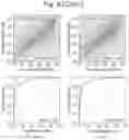 Fig. 09 - METHOD AND SYSTEM FOR BINDING AFFINITY PREDICTION AND METHOD OF GENERATING A CANDIDATE PROTEIN-BINDING PEPTIDE