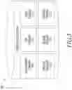 Fig. 04 - System and method for generating an ocular dysfunction nourishment program