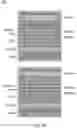 Fig. 23 - SEMICONDUCTOR DEVICE HAVING MULTIPLE ELECTROSTATIC DISCHARGE (ESD) PATHS
