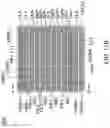 Fig. 27 - SEMICONDUCTOR DEVICE HAVING MULTIPLE ELECTROSTATIC DISCHARGE (ESD) PATHS