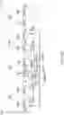 Fig. 41 - SEMICONDUCTOR DEVICE HAVING MULTIPLE ELECTROSTATIC DISCHARGE (ESD) PATHS
