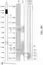 Fig. 12 - ORGANIC LIGHT EMITTING DISPLAY DEVICE