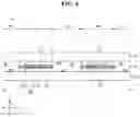 Fig. 07 - DISPLAY DEVICE AND METHOD OF MANUFACTURING THE SAME