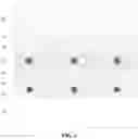 Fig. 07 - Method for manufacturing semiconductor structure and semiconductor structure