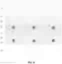 Fig. 09 - Method for manufacturing semiconductor structure and semiconductor structure