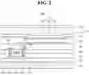 Fig. 03 - ORGANIC LIGHT EMITTING DEVICE