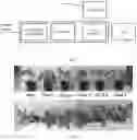 Fig. 02 - PLANT ILLUMINATION METHOD AND SYSTEM