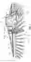 Fig. 02 - Drop-down applicators for an agricultural sprayer