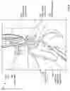 Fig. 07 - Method and apparatus for head protection and providing air flow