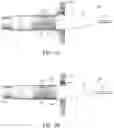 Fig. 09 - SYSTEMS, DEVICES, AND METHODS FOR DIAGNOSING AMYLOIDOSIS
