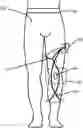 Fig. 01 - APPARATUS AND METHOD FOR STABILIZING A HUMAN ANATOMICAL JOINT