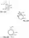 Fig. 35 - Eustachian tube dilation balloon with ventilation path
