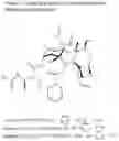Fig. 02 - SOLID NANOPARTICLE FORMULATION OF WATER INSOLUBLE PHARMACEUTICAL SUBSTANCES WITH REDUCED OSTWALD RIPENING AND IMMEDIATE DRUG RELEASE FOLLOWING INTRAVENOUS ADMINISTRATION