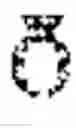Fig. 02 - ALPHA 7 NICOTINIC ACETYLCHOLINE RECEPTOR AGONISTS
