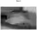 Fig. 05 - HIGH MOLECULAR IODINE CONCENTRATION COMPOSITIONS, PHARMACEUTICAL FORMULATIONS, PREPARATION AND USES