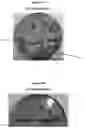 Fig. 10 - HIGH MOLECULAR IODINE CONCENTRATION COMPOSITIONS, PHARMACEUTICAL FORMULATIONS, PREPARATION AND USES